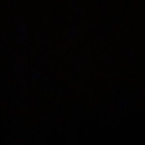 Meet your Posher, Kenny